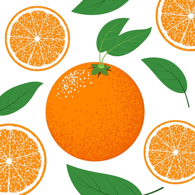 Cooking illustration with fresh orange fruit