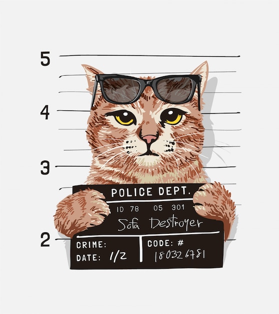 Vector a cool cat with sunglasses holding mugshot sign illustration