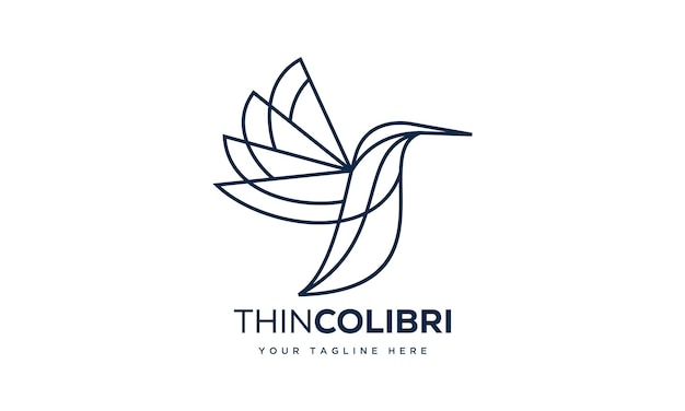 cool line art colibri logo