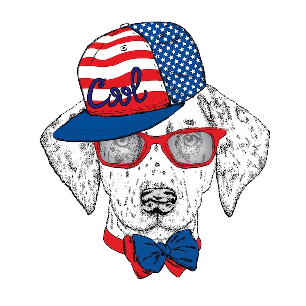 Coole hipsterhond in stijlvolle kleding.