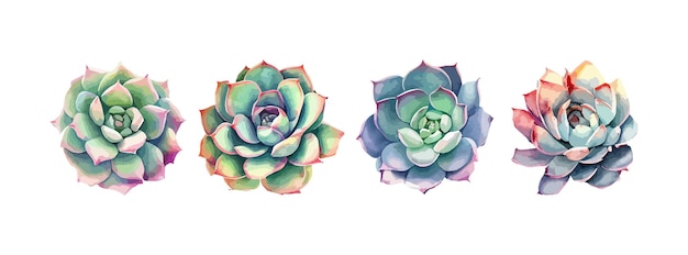 Coolection сочной цветочной акварели на белом фоне летние зеленые ботанические цветочные элементы декора векторная иллюстрация