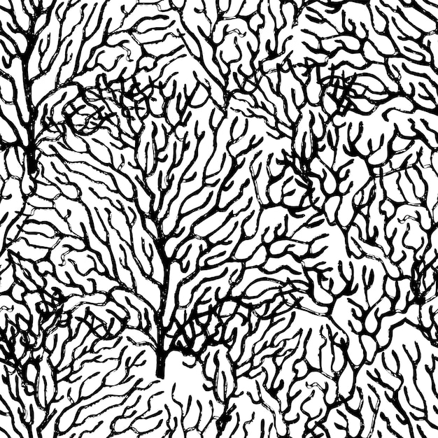 Vector coral drawn with black ink. seamless black-white pattern. vector illustration