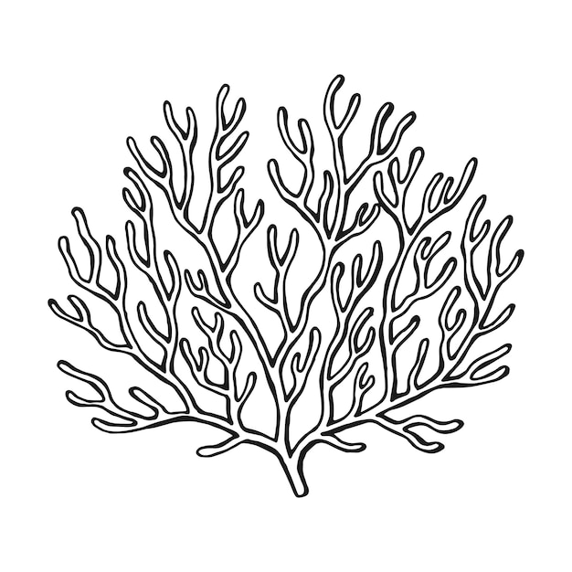 Vector coral hand drawn illustration converted to vector