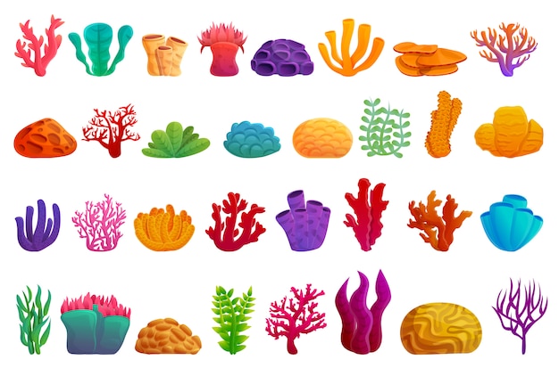 Coral icons set