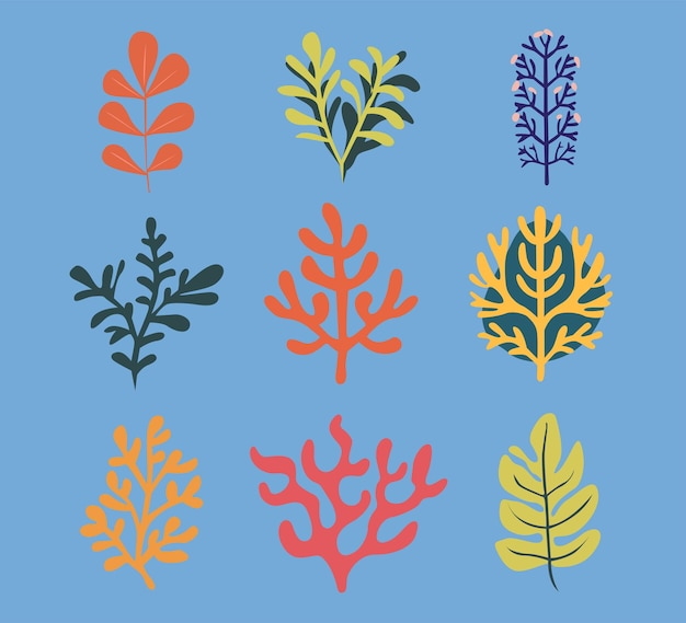 coral leaf set flat illustration