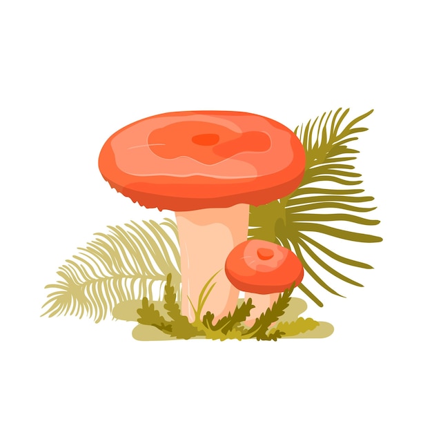 만화 스타일의 산호 유백색 모자 야생 버섯