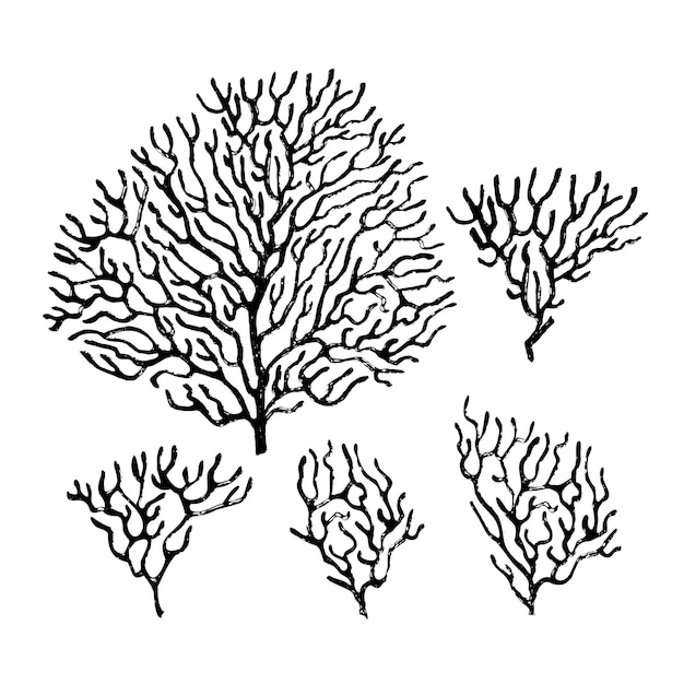 Coral patterning kit. Black ink brush texture. Vector illustration