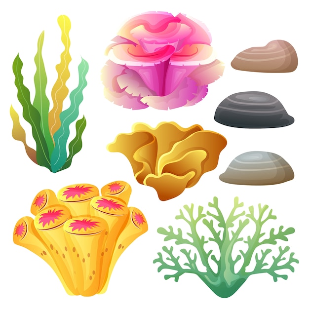 Coral reef collection set