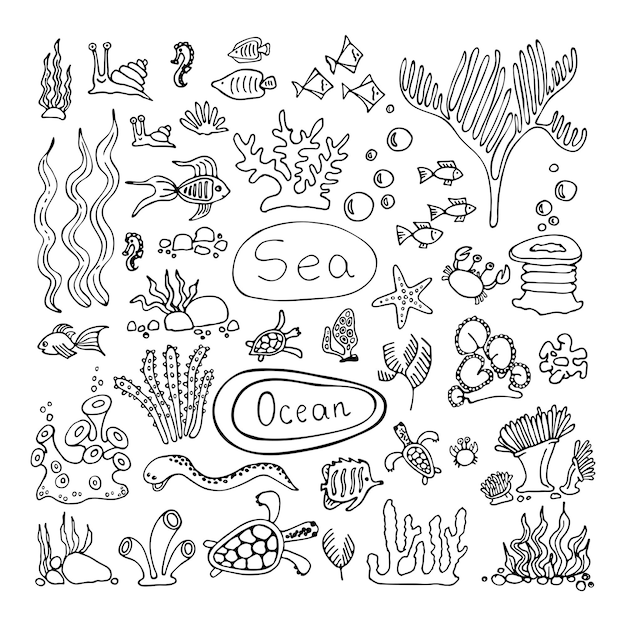 Set marino della barriera corallina pesci tartarughe granchi lumache piante subacquee pietre di alghe linea disegnata a mano art