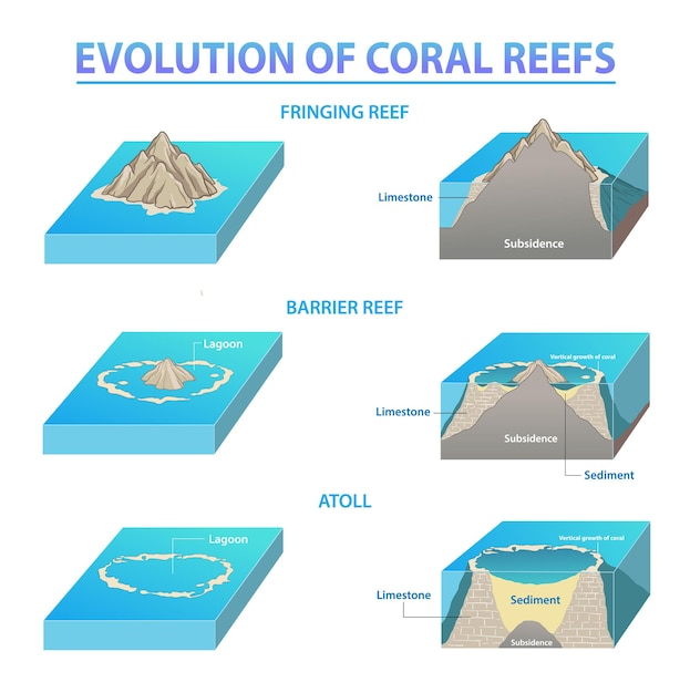 Coral reef types and development Sequence of Coral Reefs