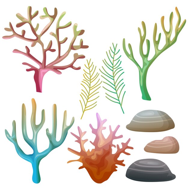 coral reef vector