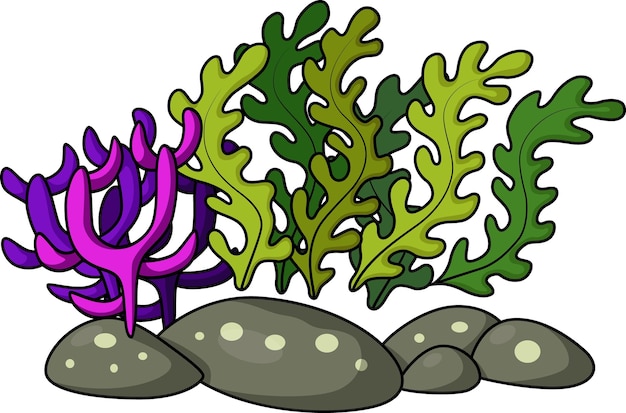 Vector coral reef on white background