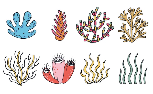 Coral sea plant seaweed ocean tropical nature doodle line art
style isolated set collection