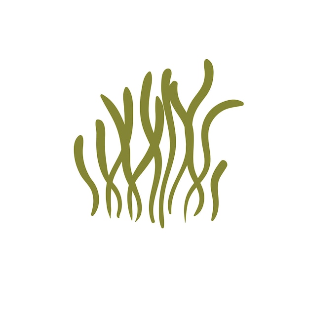 Coral Seaweed svg Coral vector