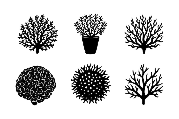 Vector coral silhouette vector