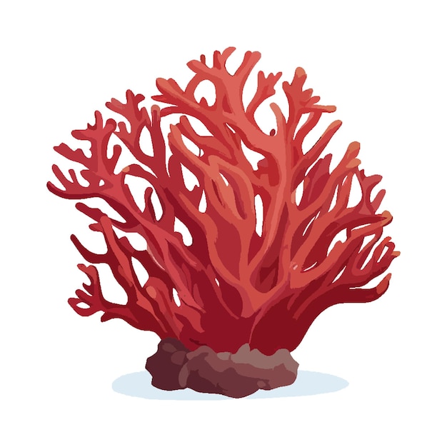 Vector coral vector 5