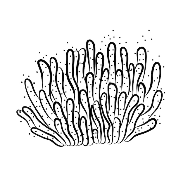 Coral Vector Illustration in Doodle Style