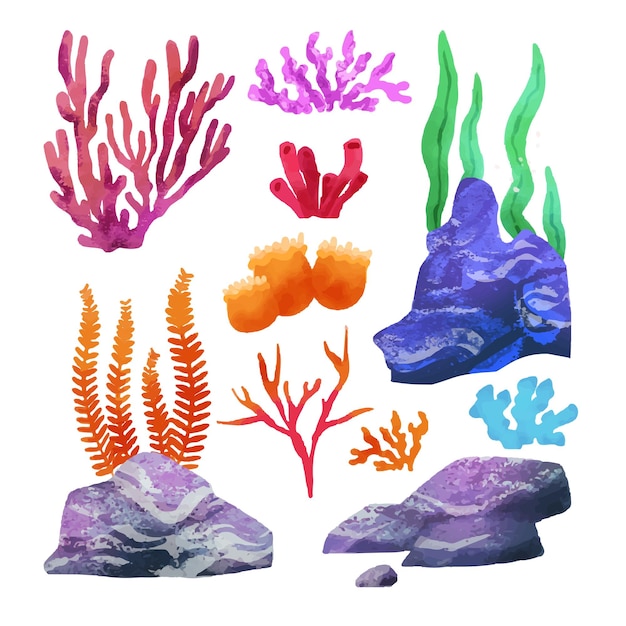 Вектор Кораллы и водоросли, подводные растения