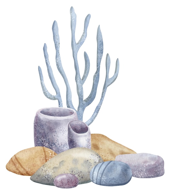 Corals and Seabed stones on isolated background Hand drawn watercolor illustration with sea floor and seaweeds for icon Underwater colorful drawing for clipart Undersea sketch in pastel colors