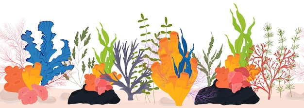 Vector corals and seaweed underwater flora sea plants underwater world diving kelp endless ornament