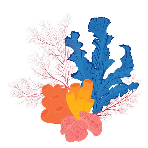 Vector corals and seaweed. vector botanical illustration. underwater flora, sea plants. underwater world.