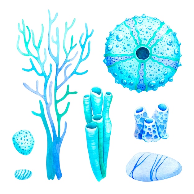 Corals urchin and pebbles hand drawn watercolor vector set