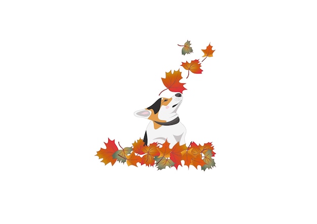 Vector corgi dog autumn