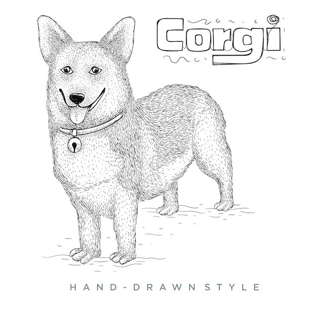 Vector corgi dog hand drawn animal illustration