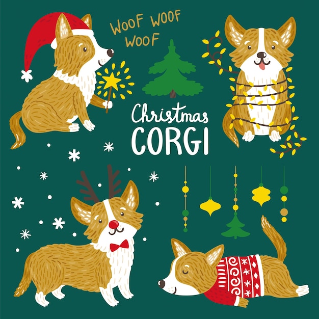 Vettore set di corgi