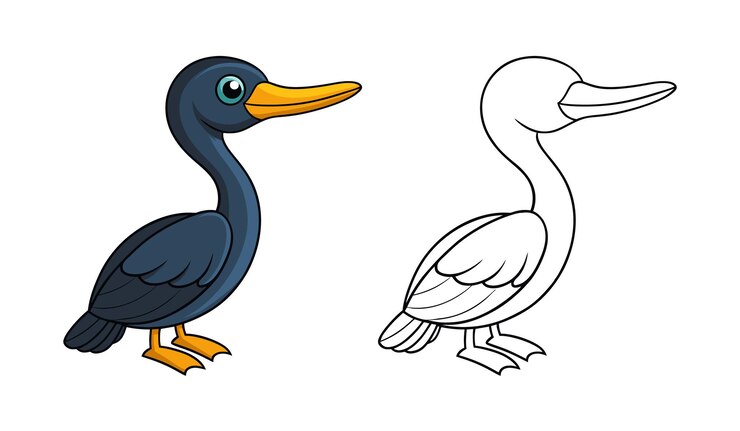Vector cormorant bird illustration - cartoon drawing for coloring