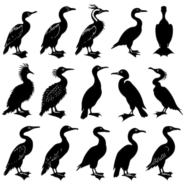 cormorant silhouette black vector