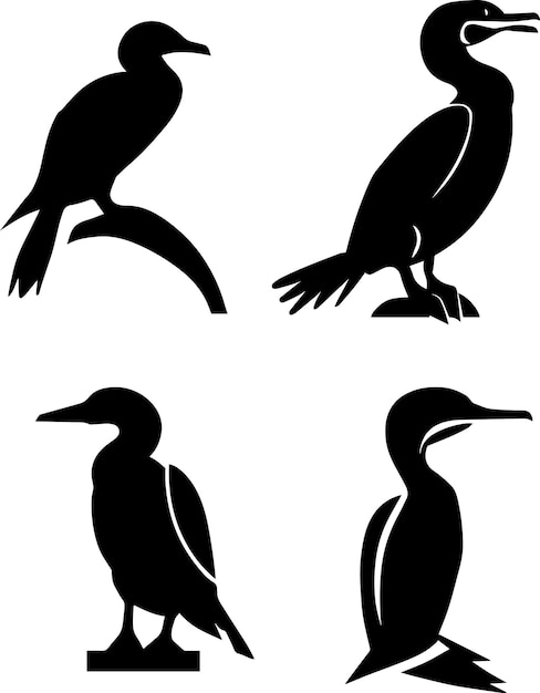 Cormorant Vector silhouette Illustration 5