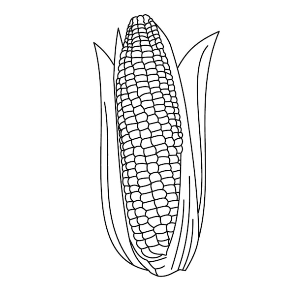 Vettore mais agricolo icona vettore bianco e nero