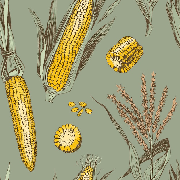 Corn on the cob vintage design seamless pattern. 