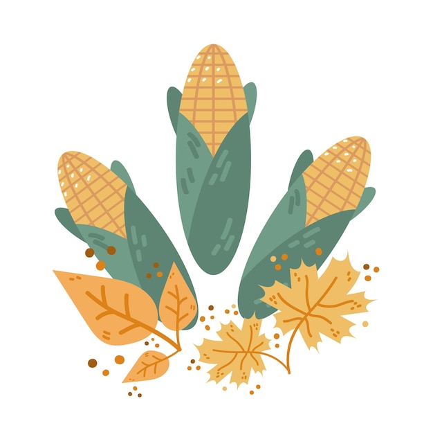 Vector corn cobs with orange leaves autumn harvest festival happy thanksgiving holiday celebration concept