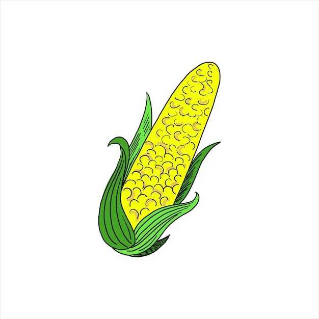 Vector corn colored simple doodle vector clipart of cob isolated on white