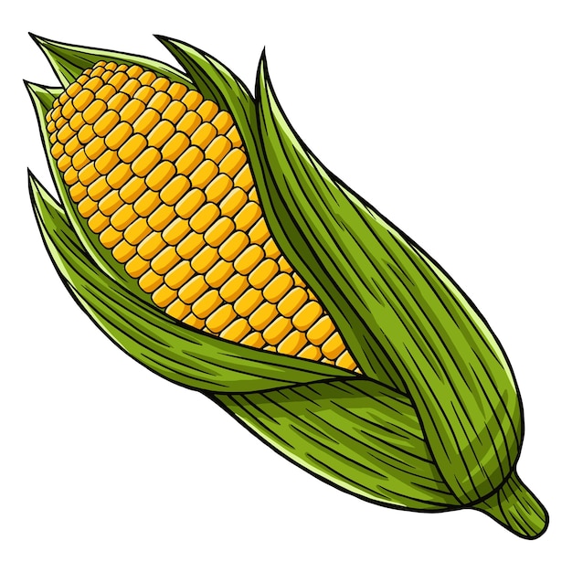 Corn in flat design style