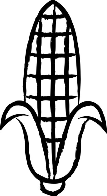 Vector corn hand drawn vector illustration