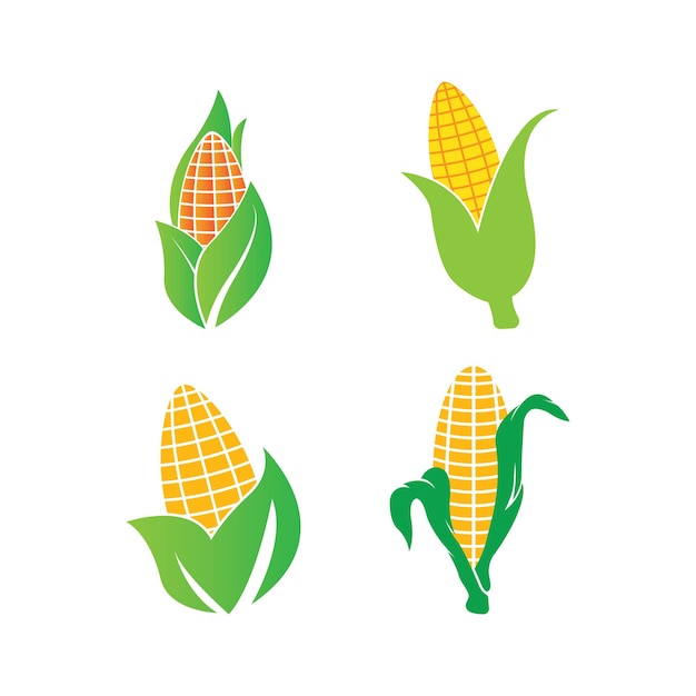 Corn icon vector illustration logo design