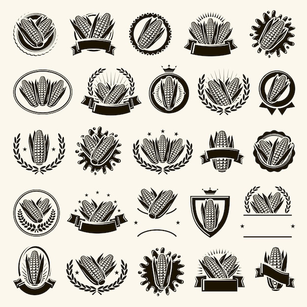 Etichetta di mais e set di elementi. icona di raccolta mais. illustrazione vettoriale