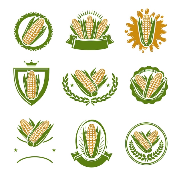 Vector corn label and element set. collection icon corn. vector illustration