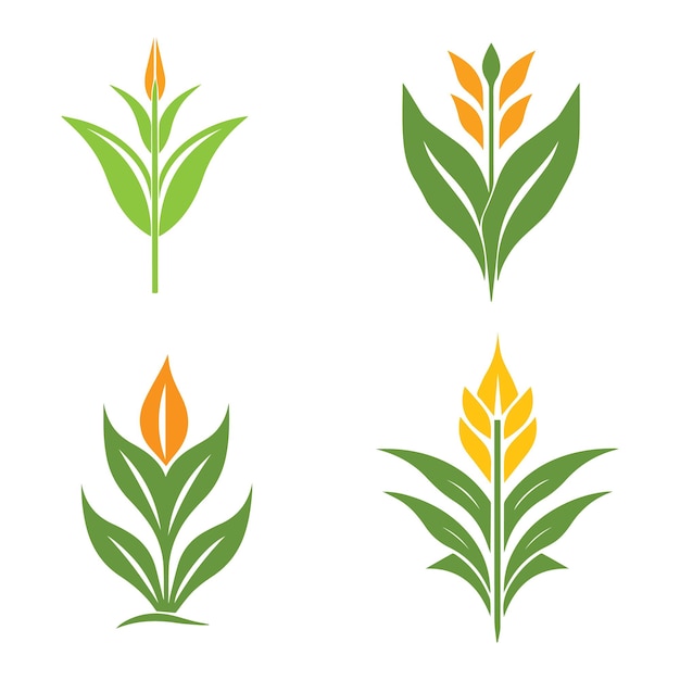 Вектор Вектор и иллюстрация логотипа кукурузного растения премиум-класса
