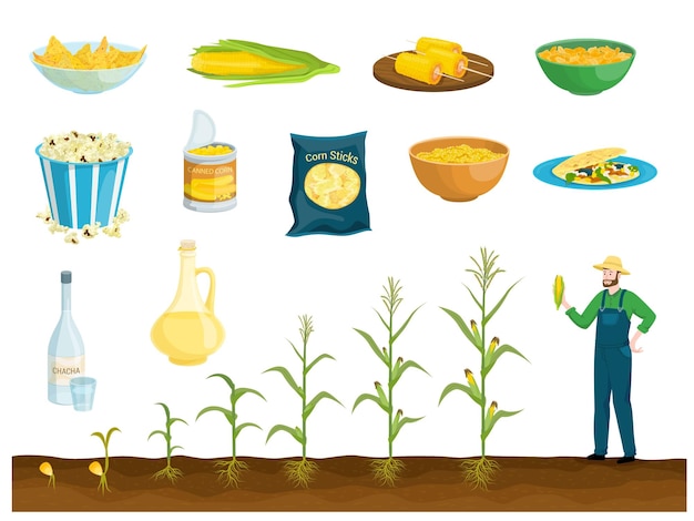 Vector corn products flat set with isolated images of meals and products with growing stages of plant vector illustration