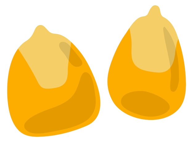 Corn seeds Cartoon natural raw maize icon