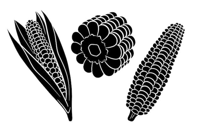 Corn set Fresh corn cobs with and without leaves Silhouette Vector illustration for design and decoration