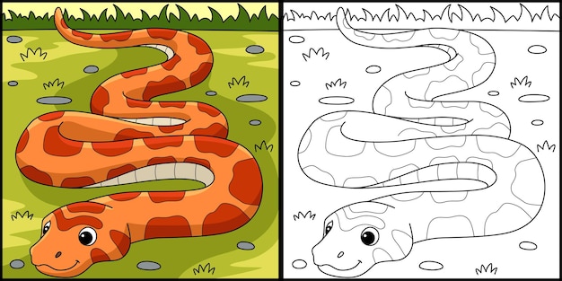 Corn snake animal coloring page illustration