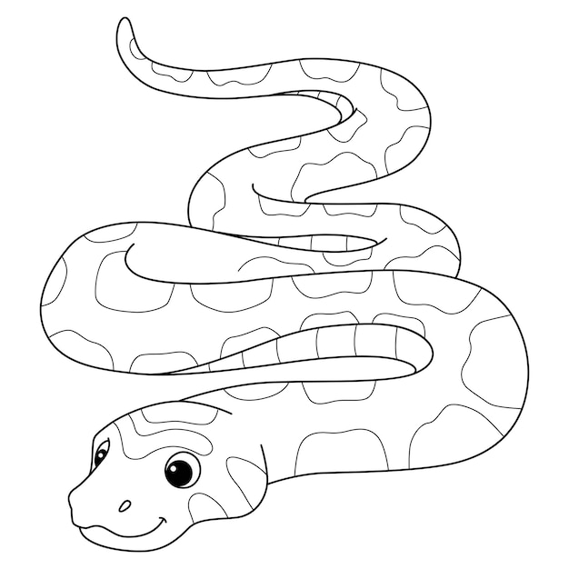 Vector corn snake animal isolated coloring page for kids