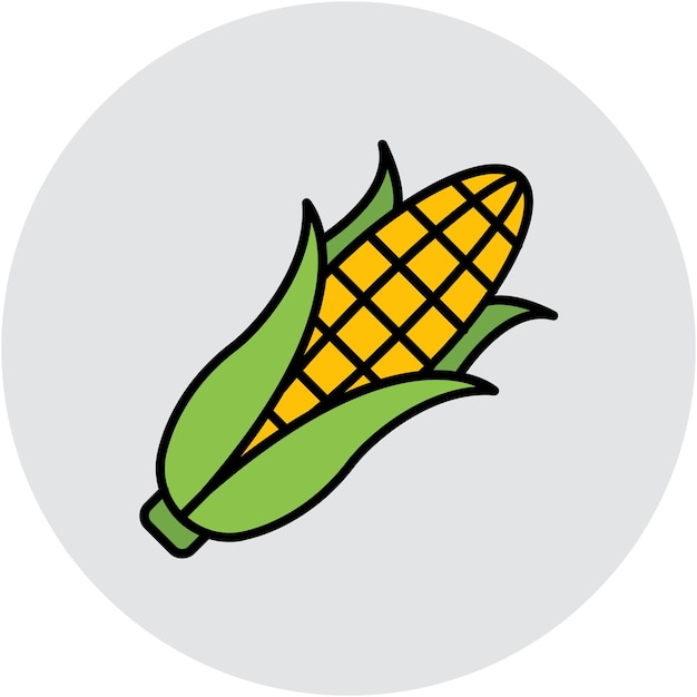 Vector corn vector illustration style