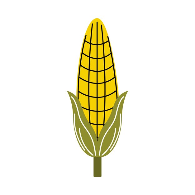 Corn Vector Illustration