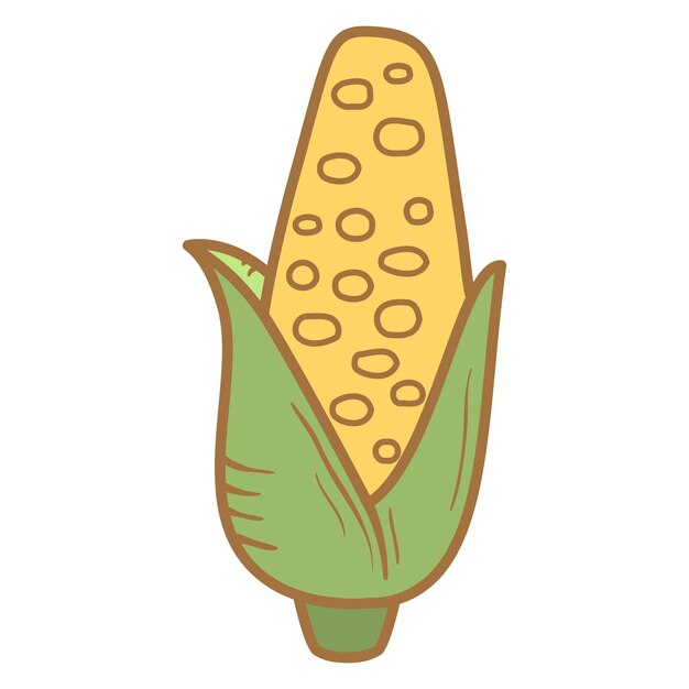 Vector corn vegetables an ear of corn